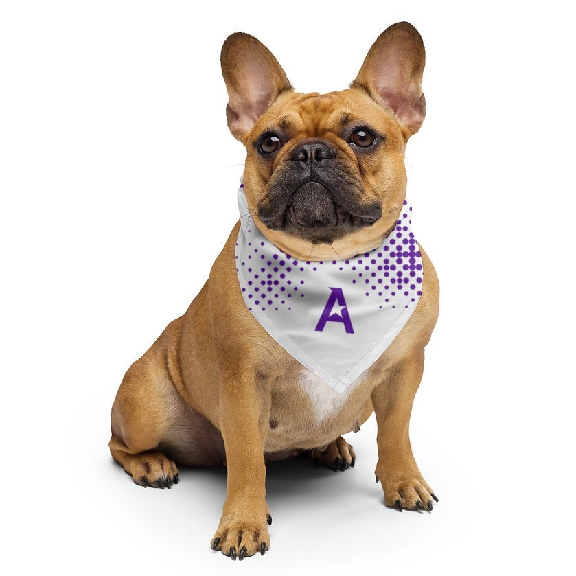 company swag ideas dog bandana